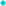 (495) 627-62-94 